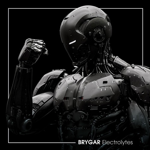 BRYGAR - Electrolytes