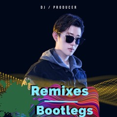 Remixes & Bootlegs