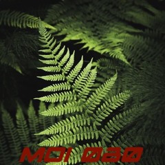 MOI 080