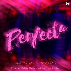 Waldokinc El Troyano - Perfecta