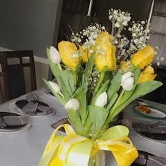 YBK Ollie - Ollie and Eve