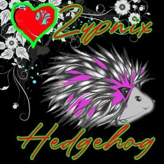 Hedgehog Lipstick - Zypnix (movie guitar)