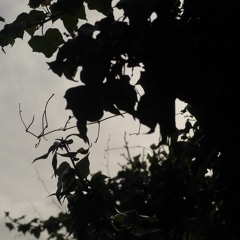 cool (demo)