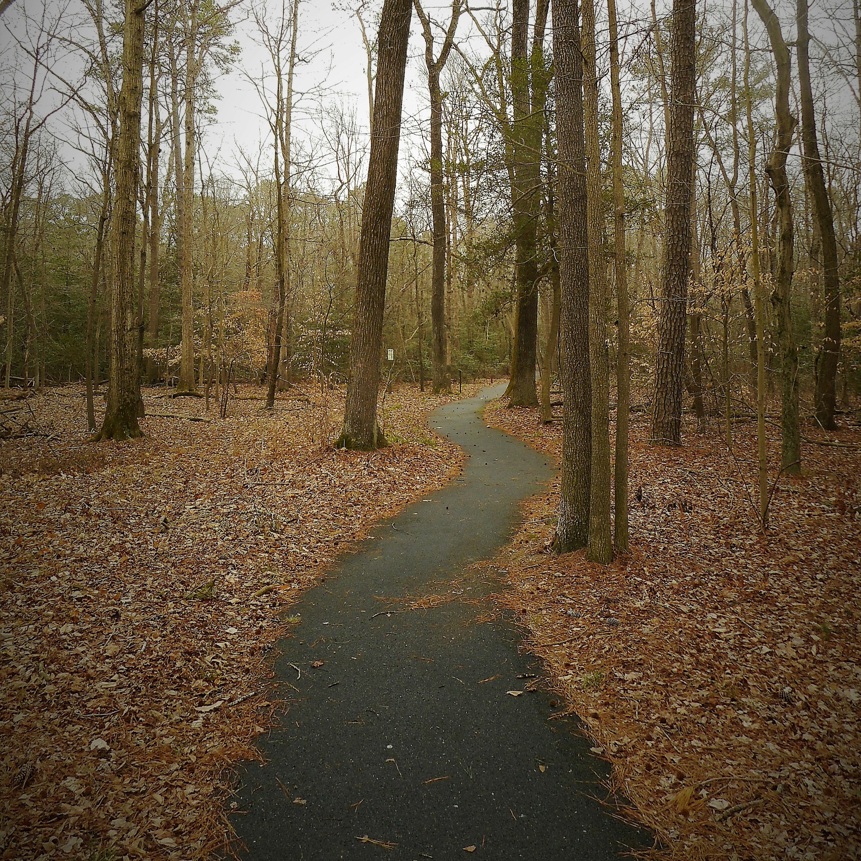 James d. Birch - Random Sound of the Day - 03.04.20 - The Road Less Traveled episode artwork