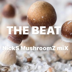 THE BEAT ............  NickS MushroomZ miX Dec 22