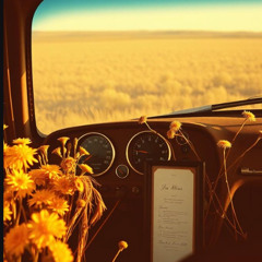 Dusty Dashboard 9-2-25