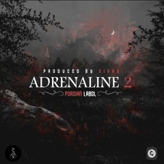 Adrenalintro "Paya,Sinab, Gdaal" ((Feat.ParsaLip)) Adernaline2