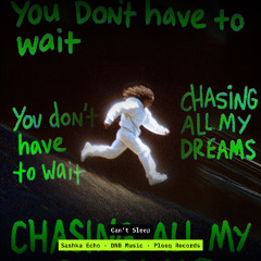 Can't Sleep, I Will Be There (Drum and Bass Edition) - Sashka Echo