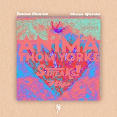 Thom Yorke - Dawn Chorus (Streaks! Flip)