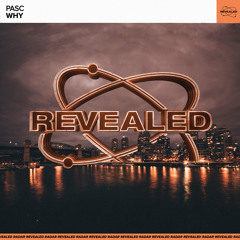 Why (Extended Mix)