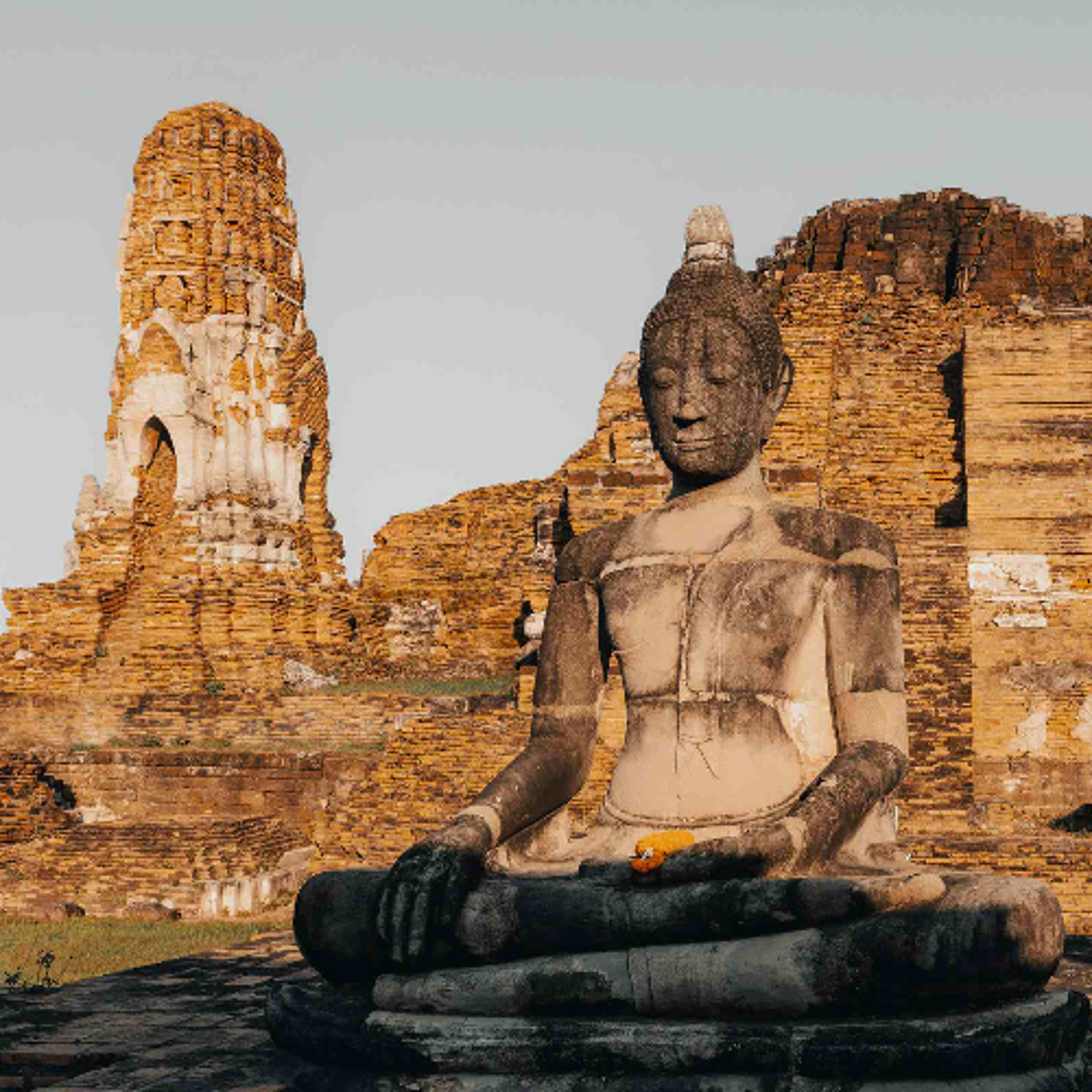 Ep. 538 Riflessioni sull'Ottuplice Sentiero