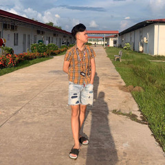 NST - VietMix 2023 - Chờ Ngày Con Về Vol 3 ( Heo Chợ Chiều )