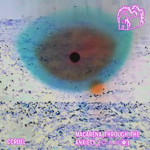 CCRUEL |MacarenaTroughTheAnxiety x Undicesimacasa | Apr21