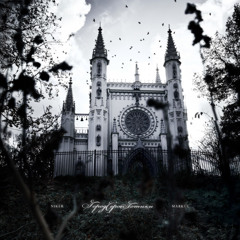 Город серой готики