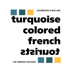 PREMIERE : Turquoise Colored French Tourists - Bubbles Got Me (So Glad Records)