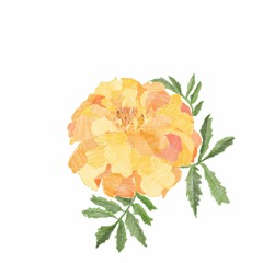 퍼플웨일 - 마음은 왜 움직이는 걸까? (DEMO)