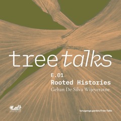 Tree Talks: Rooted Histories