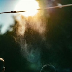 Longevity Festival