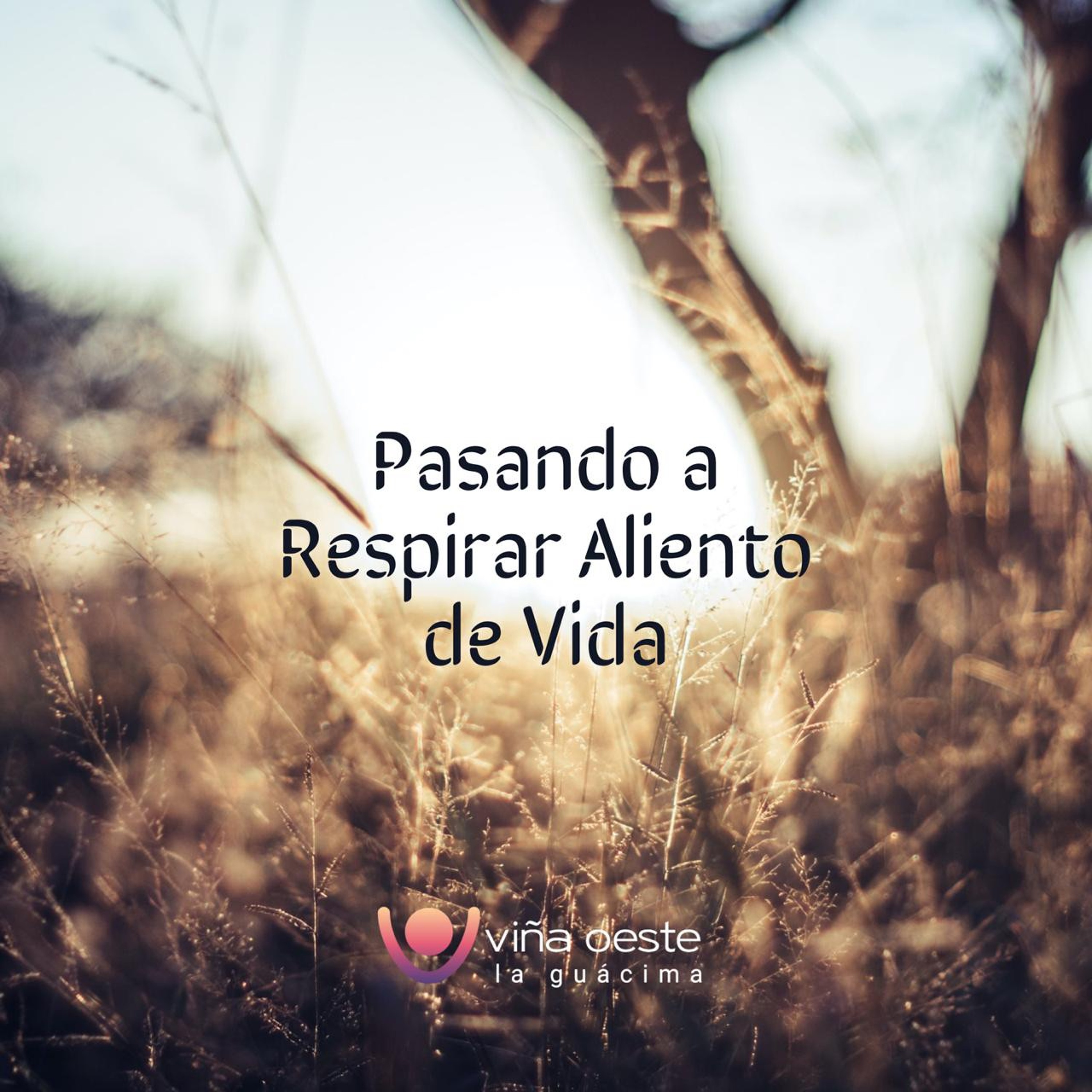 05-12-2020 - Charla: Pasando a respirar aliento de vida - Ronald Steinvorth episode artwork