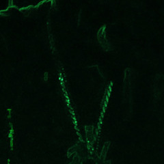 Lilfye -gang ft- 4800Kareem.m4a