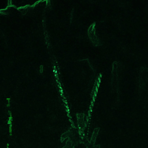 Lilfye SleazyWorld  '‘ crazy bitch 1.m4a