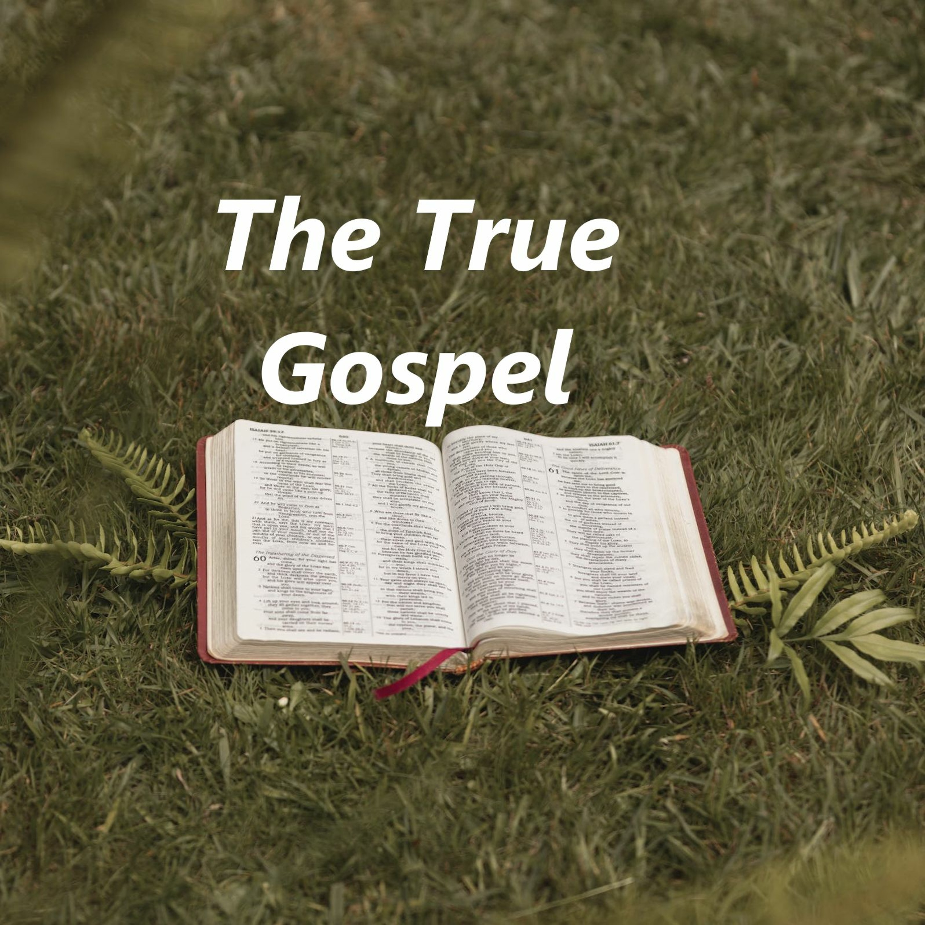 The true gospel episode artwork