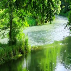 solitude!