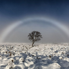 Fogbows