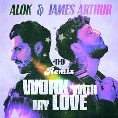 Alok – Work With My Love (TFD Pride Remix)