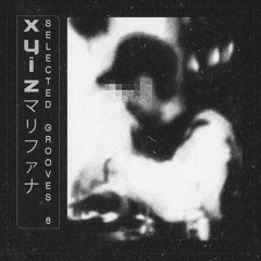 Selected Grooves 06