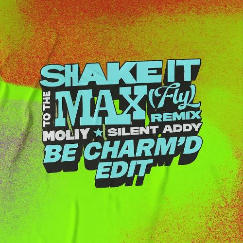 SHAKE IT TO THE MAX (Calabria Afro Edit)