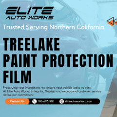 Elite Auto Works - Paint Protection Film Treelake