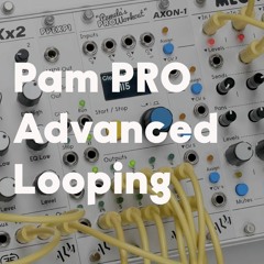 Pam PRO Advanced Looping