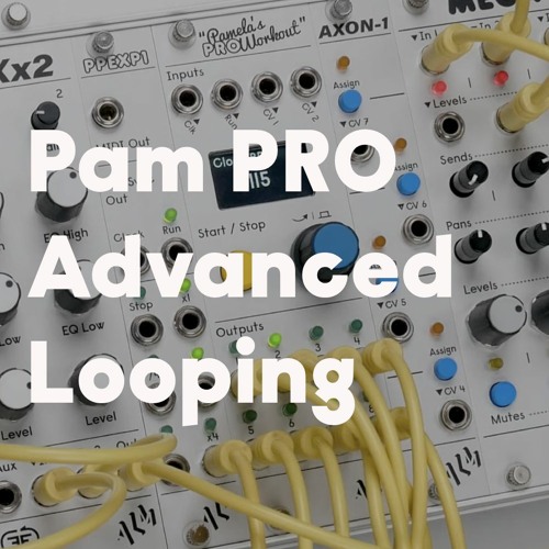 Pam PRO Advanced Looping