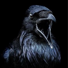 The Crow Said Kaka (The Crowbar Remix)