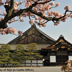 Review Special Price Kyoto & Nara Day Trip - Golden Pavilion & Todaiji from Kyoto