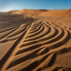 Lines in the Sand