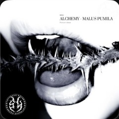 schranz/industrial…