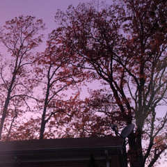 i wrote you a lovesong (Feat. Yung Kell)(Prod. yunnygoldz)