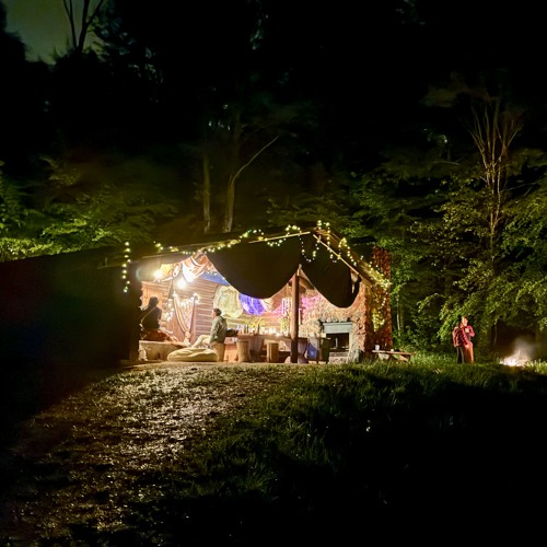 ƧӨᄂııD @ Damian's FOREST DANCE 4.5.2024