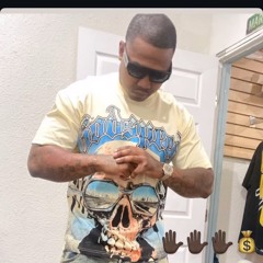 SHARK FREESTYLE