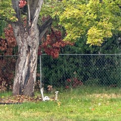 Inside of My Eyes (original)