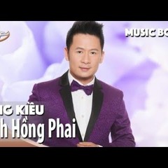 Cánh Hồng Phai - Băng Kiều Cover