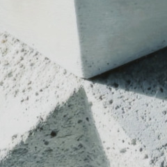 Cubertus