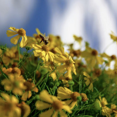 streetlights- jason isbell