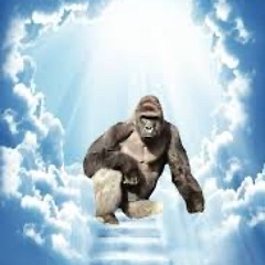 Long Live Harambe