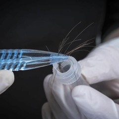 How To Pass A Hair Follicle Drug Test Wiki