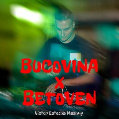 BUCOVINA vs BETOVEN (Victor Estecha Mashup)