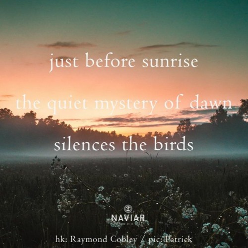 The quiet mystery of dawn [naviarhaiku443]