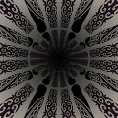 EXPERIMENTAL 08.06.24